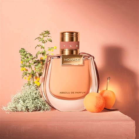 chloe nomade perfume price|chloe nomade perfume best price.